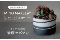 多治見市×春日井市コラボ【美濃焼】 MINO MAKELAY Mサイズ 鉢 黒土マーブル × 【日本有数のサボテンの生産地】 春日井市の名店 後藤サボテン 【井澤コーポレーション】 [TBP165]