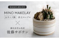 多治見市×春日井市コラボ【美濃焼】 MINO MAKELAY Mサイズ 鉢 赤土マーブル × 【日本有数のサボテンの生産地】 春日井市の名店 後藤サボテン 【井澤コーポレーション】 [TBP166]