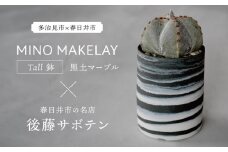 多治見市×春日井市コラボ【美濃焼】 MINO MAKELAY Tall 鉢 黒土マーブル × 【日本有数のサボテンの生産地】 春日井市の名店 後藤サボテン 【井澤コーポレーション】 [TBP167]