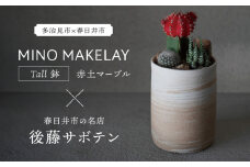 多治見市×春日井市コラボ【美濃焼】 MINO MAKELAY Tall 鉢 赤土マーブル × 【日本有数のサボテンの生産地】 春日井市の名店 後藤サボテン 【井澤コーポレーション】 [TBP168]