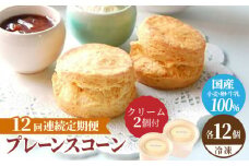 【12回定期便】 プレーン スコーン セット 12個 スコーンクリーム付き スイーツ 洋菓子 焼菓子 多治見市/famfam [TAK016]