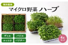 マイクロ野菜 ハーブ 4点セット〈 ディル パクチー バジル ルッコラ 〉【諏訪農林】 [TDO004]