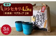 【令和7年産】 精米 コシヒカリ 特別栽培米 （4.5kg） + 【美濃焼】 青輝貫入 マグカップ （2個） 多治見市 / 山松加藤松治郎商店 [TEU027]