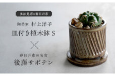 多治見市×春日井市コラボ 【美濃焼】 陶芸家「村上洋子」 皿付き植木鉢 S × 【日本有数のサボテンの生産地】 春日井市の名店 後藤サボテン 【井澤コーポレーション】 [TBP169]
