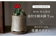 多治見市×春日井市コラボ 【美濃焼】 陶芸家「村上洋子」 皿付き植木鉢 T(背高) × 【日本有数のサボテンの生産地】 春日井市の名店 後藤サボテン 【井澤コーポレーション】 [TBP171]