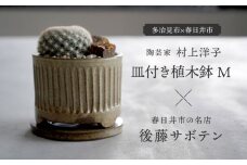 多治見市×春日井市コラボ 【美濃焼】 陶芸家「村上洋子」 皿付き植木鉢 M × 【日本有数のサボテンの生産地】 春日井市の名店 後藤サボテン 【井澤コーポレーション】 [TBP170]
