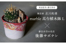 多治見市×春日井市コラボ 【美濃焼】 陶芸家「北川和喜」 marble 高台植木鉢 L × 【日本有数のサボテンの生産地】 春日井市の名店 後藤サボテン 【井澤コーポレーション】 [TBP172]