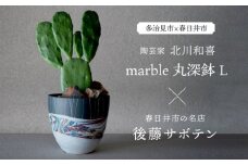 多治見市×春日井市コラボ 【美濃焼】 陶芸家「北川和喜」 marble 丸深鉢 L × 【日本有数のサボテンの生産地】 春日井市の名店 後藤サボテン 【井澤コーポレーション】 [TBP173]