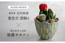 多治見市×春日井市コラボ 【美濃焼】 陶芸家「北川和喜」 重色目 深鉢S × 【日本有数のサボテンの生産地】 春日井市の名店 後藤サボテン 【井澤コーポレーション】 [TBP174]