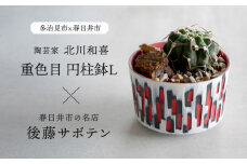 多治見市×春日井市コラボ 【美濃焼】 陶芸家「北川和喜」 重色目 円柱鉢L × 【日本有数のサボテンの生産地】 春日井市の名店 後藤サボテン 【井澤コーポレーション】 [TBP175]