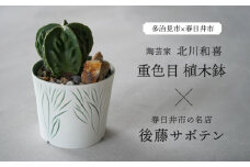 多治見市×春日井市コラボ 【美濃焼】 陶芸家「北川和喜」 重色目 植木鉢 × 【日本有数のサボテンの生産地】 春日井市の名店 後藤サボテン 【井澤コーポレーション】 [TBP176]