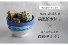 多治見市×春日井市コラボ 【美濃焼】 陶芸家「北川和喜」 碗型植木鉢 S× 【日本有数のサボテンの生産地】 春日井市の名店 後藤サボテン 【井澤コーポレーション】 [TBP177]