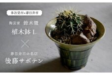 多治見市×春日井市コラボ 【美濃焼】 陶芸家「鈴木徹」 植木鉢 L × 【日本有数のサボテンの生産地】 春日井市の名店 後藤サボテン 【井澤コーポレーション】 [TBP178]
