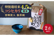 【令和7年産】 精米 コシヒカリ 特別栽培米 （4.5kg） + 【美濃焼】 青輝貫入 飯茶碗 多治見市 / 山松加藤松治郎商店 [TEU035]