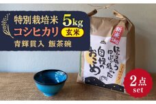 【令和7年産】 玄米 コシヒカリ 特別栽培米 （5kg） + 【美濃焼】 青輝貫入 飯茶碗 多治見市 / 山松加藤松治郎商店 [TEU036]