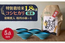 【令和7年産】 精米 コシヒカリ 特別栽培米 （1.8kg） + 【美濃焼】 青輝貫入 楕円小鉢 （4枚） 多治見市 / 山松加藤松治郎商店 [TEU041]
