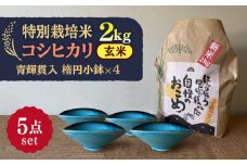 【令和7年産】 玄米 コシヒカリ 特別栽培米 （2kg） + 【美濃焼】 青輝貫入 楕円小鉢 （4枚） 多治見市 / 山松加藤松治郎商店 [TEU042]