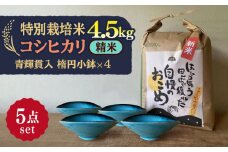 【令和7年産】 精米 コシヒカリ 特別栽培米 （4.5kg） + 【美濃焼】 青輝貫入 楕円小鉢 （4枚） 多治見市 / 山松加藤松治郎商店 [TEU043]