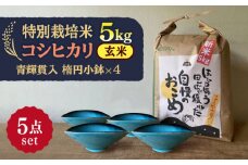 【令和7年産】 玄米 コシヒカリ 特別栽培米 （5kg） + 【美濃焼】 青輝貫入 楕円小鉢 （4枚） 多治見市 / 山松加藤松治郎商店 [TEU044]