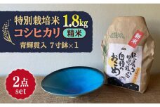 【令和7年産】 精米 コシヒカリ 特別栽培米 （1.8kg）+ 【美濃焼】 青輝貫入 7寸鉢 多治見市 / 山松加藤松治郎商店 [TEU049]