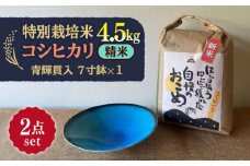 【令和7年産】 精米 コシヒカリ 特別栽培米 （4.5kg）+ 【美濃焼】 青輝貫入 7寸鉢 多治見市 / 山松加藤松治郎商店 [TEU051]