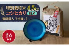 【令和7年産】 精米 コシヒカリ 特別栽培米 （4.5kg）+ 【美濃焼】 青輝貫入 7寸皿 多治見市 / 山松加藤松治郎商店 [TEU053]