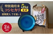 【令和7年産】 玄米 コシヒカリ 特別栽培米 （5kg）+ 【美濃焼】 青輝貫入 7寸皿 多治見市 / 山松加藤松治郎商店 [TEU054]