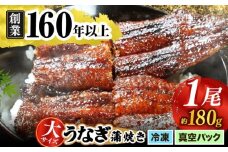 【うなぎや】 炭火焼 うなぎの蒲焼き 1尾 【紀州備長炭使用】 鰻 うなぎ ウナギ 土用の丑の日 丑の日 蒲焼き 蒲焼 老舗 真空パック 特大 大 特上 送料無料 多治見市 [TFO001]