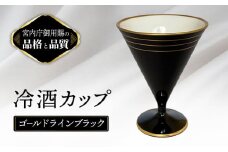 ニューボン 冷酒 ゴールドラインブラック 【ナカヤマ販売】 [TAU056]