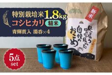 【令和7年産】 精米 コシヒカリ 特別栽培米 （1.8kg）+ 【美濃焼】 青輝貫入 湯呑 （4個） 多治見市 / 山松加藤松治郎商店 [TEU057]