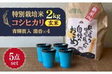 【令和7年産】 玄米 コシヒカリ 特別栽培米 （2kg）+ 【美濃焼】 青輝貫入 湯呑 （4個） 多治見市 / 山松加藤松治郎商店 [TEU058]