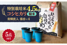 【令和7年産】 精米 コシヒカリ 特別栽培米 （4.5kg）+ 【美濃焼】 青輝貫入 湯呑 （4個） 多治見市 / 山松加藤松治郎商店 [TEU059]