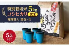 【令和7年産】 玄米 コシヒカリ 特別栽培米 （5kg）+ 【美濃焼】 青輝貫入 湯呑 （4個） 多治見市 / 山松加藤松治郎商店 [TEU060]