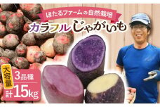 ※数量限定※ 【先行予約】 自然栽培のじゃがいも 3種類 約15kg 【ほたるファーム】 野菜 芋 国産 [TEB007]