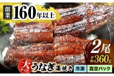 【うなぎや】 炭火焼 うなぎの蒲焼き 2尾 【紀州備長炭使用】 鰻 ウナギ 土用の丑の日 丑の日 蒲焼き 蒲焼 老舗 真空パック 特大 大 特上 送料無料 多治見市 [TFO002]