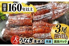 【うなぎや】 炭火焼 うなぎの蒲焼き 3尾 【紀州備長炭使用】 鰻 ウナギ 土用の丑の日 丑の日 蒲焼き 蒲焼 老舗 真空パック 特大 大 特上 送料無料 多治見市 [TFO003]