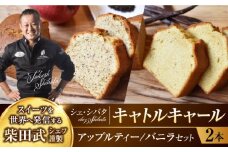 キャトルキャール 2本セット （アップルティー / バニラ） 多治見市 / シェ・シバタ パウンドケーキ スイーツ 焼菓子 [TDH003]