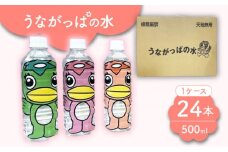 うながっぱの水 1ケース（ 500ml ペットボトル × 24本 ） 1 多治見市 /多治見市観光協会 ミネラルウォーター 備蓄 [TAQ006]