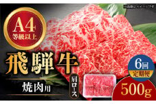 【6回定期便】 飛騨牛 焼肉用 ロース・肩ロース 500g A4等級以上 和牛 ブランド牛 国産 牛肉 多治見市 / 渡辺精肉店 [TAZ032]