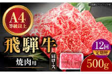 【12回定期便】 飛騨牛 焼肉用 ロース・肩ロース 500g A4等級以上 和牛 ブランド牛 国産 牛肉 多治見市 / 渡辺精肉店 [TAZ033]
