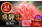 12回 定期便 飛騨牛 焼肉用 ロース / 肩ロース 500g