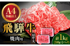 飛騨牛 焼肉用 ロース・肩ロース 1kg A4等級以上 和牛 ブランド牛 国産 牛肉 多治見市 / 渡辺精肉店 [TAZ034]