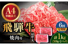 【6回定期便】 飛騨牛 焼肉用 ロース・肩ロース 1kg A4等級以上 和牛 ブランド牛 国産 牛肉 多治見市 / 渡辺精肉店 [TAZ036]