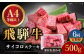 6回 定期便 飛騨牛 サイコロステーキ 部位 おまかせ 500g