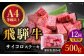 12回 定期便 飛騨牛 サイコロステーキ 部位 おまかせ 500g