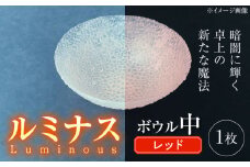 ルミナスシリーズ ボウル (中) レッド 【暗闇に輝く、卓上の新たな魔法】 多治見市 / 丸モ高木陶器 ガラス 深皿 食器 化粧箱入り [TBA222]