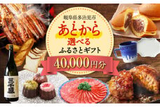 【あとから選べる】 岐阜県多治見市ふるさとギフト 4万円分  飛騨牛 日本酒 スイーツ 美濃焼 あとから ギフト [TDA030]