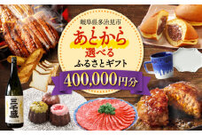 【あとから選べる】 岐阜県多治見市ふるさとギフト 40万円分  飛騨牛 日本酒 スイーツ 美濃焼 あとから ギフト [TDA033]