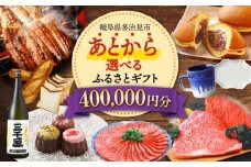 【あとから選べる】 岐阜県多治見市ふるさとギフト 40万円分  飛騨牛 日本酒 スイーツ 美濃焼 あとから ギフト [TDA033]