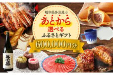 【あとから選べる】 岐阜県多治見市ふるさとギフト 60万円分  飛騨牛 日本酒 スイーツ 美濃焼 あとから ギフト [TDA035]